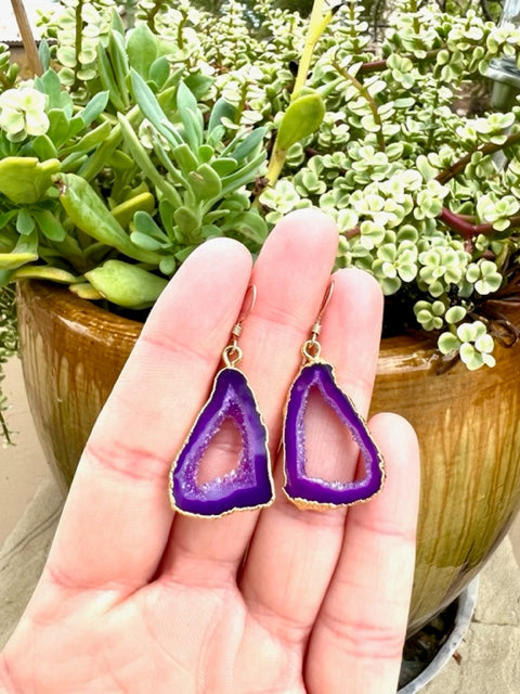 Pair of purple agate slice earrings with gold plated edges held in a hand above a pot of succulents